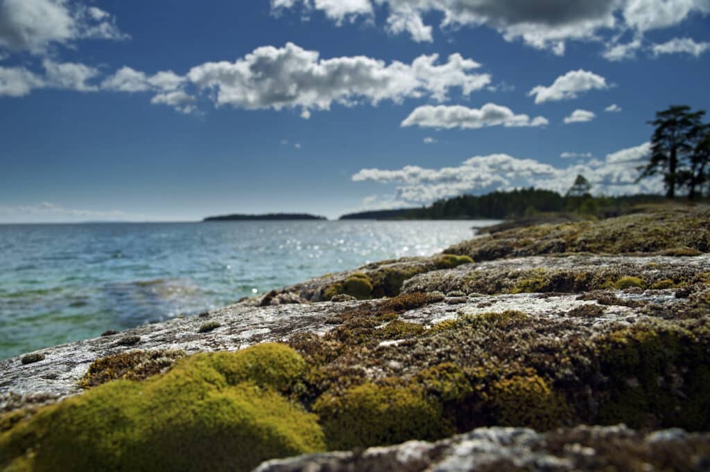 Lake Vättern Sweden