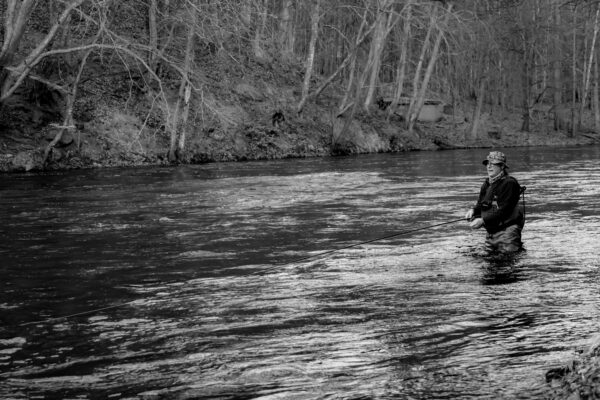 Flyfishing in Mörrum River